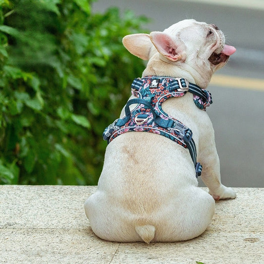 PawArmor? Floral Bloom Reflective Harness