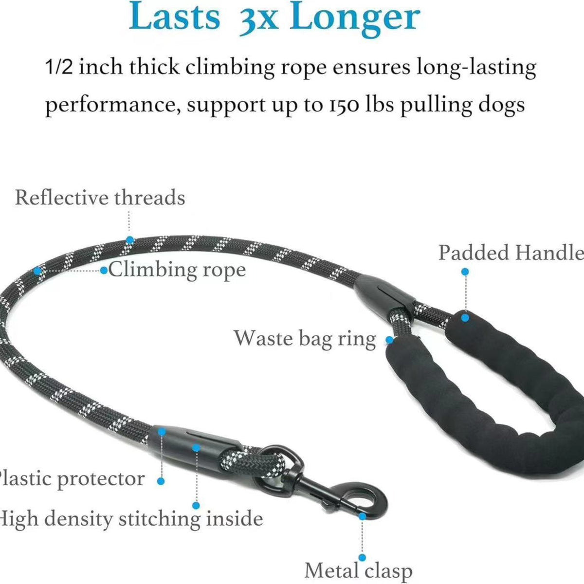 Paws Together? Dual Dog Bungee Leash