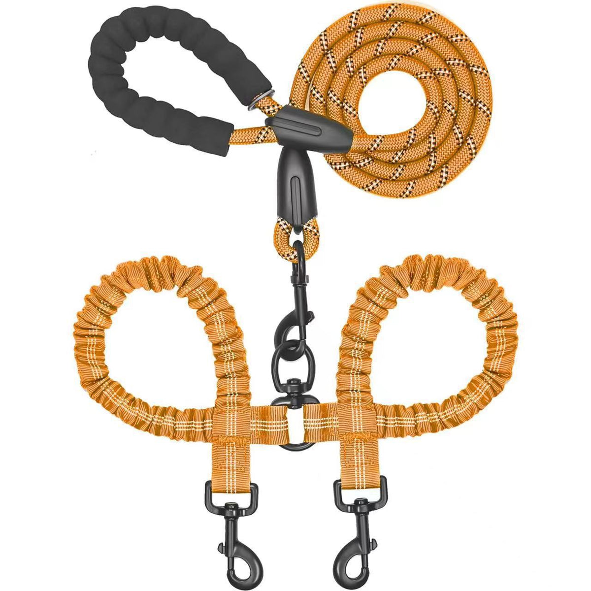 Paws Together? Dual Dog Bungee Leash