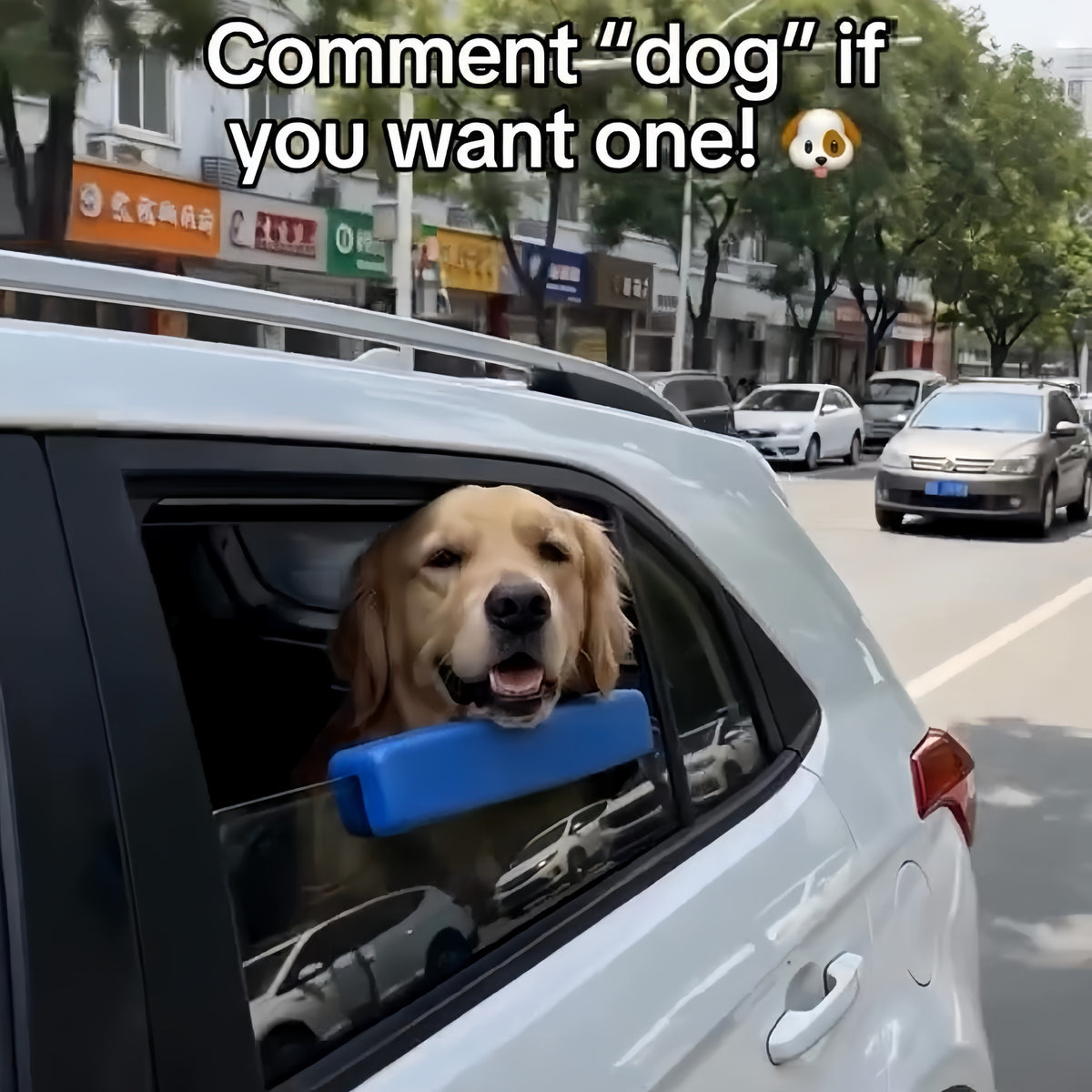RideRest? Car Window Chin Rest