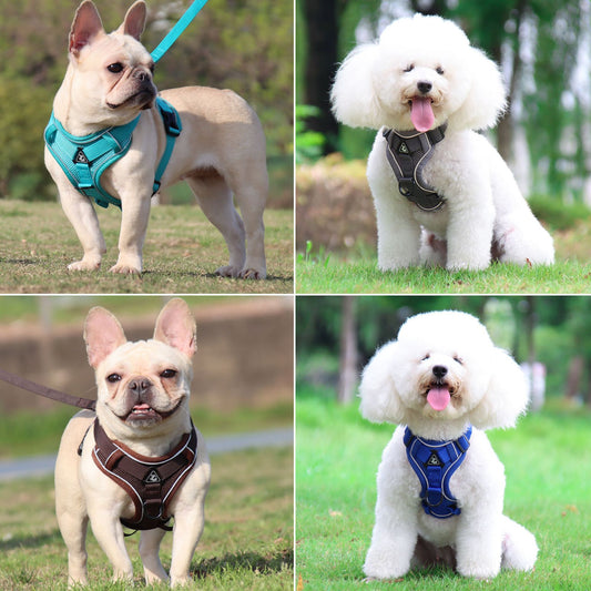 GlowFit? Reflective Comfort Harness