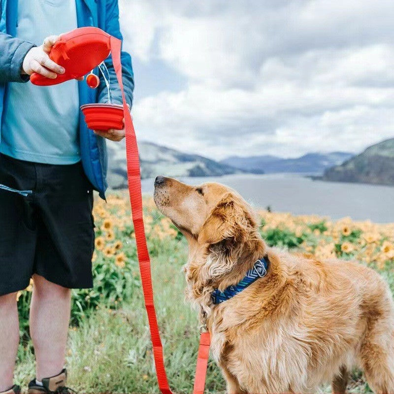 PawTrek? 3-in-1 All-in-One Walking Leash