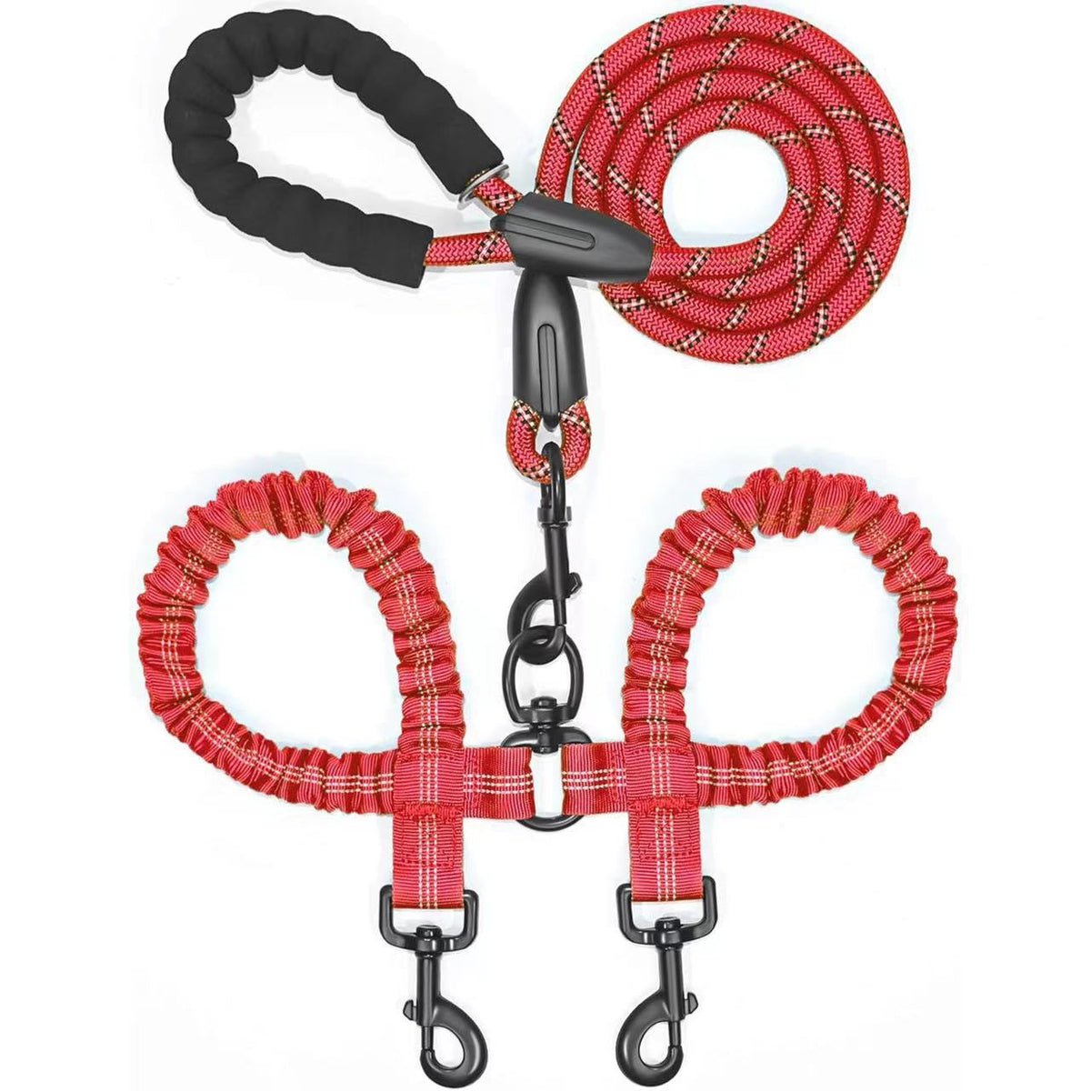 Paws Together? Dual Dog Bungee Leash