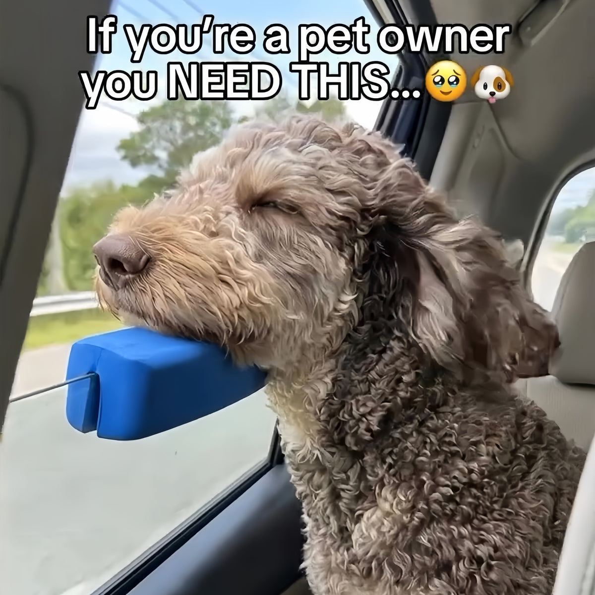 RideRest? Car Window Chin Rest