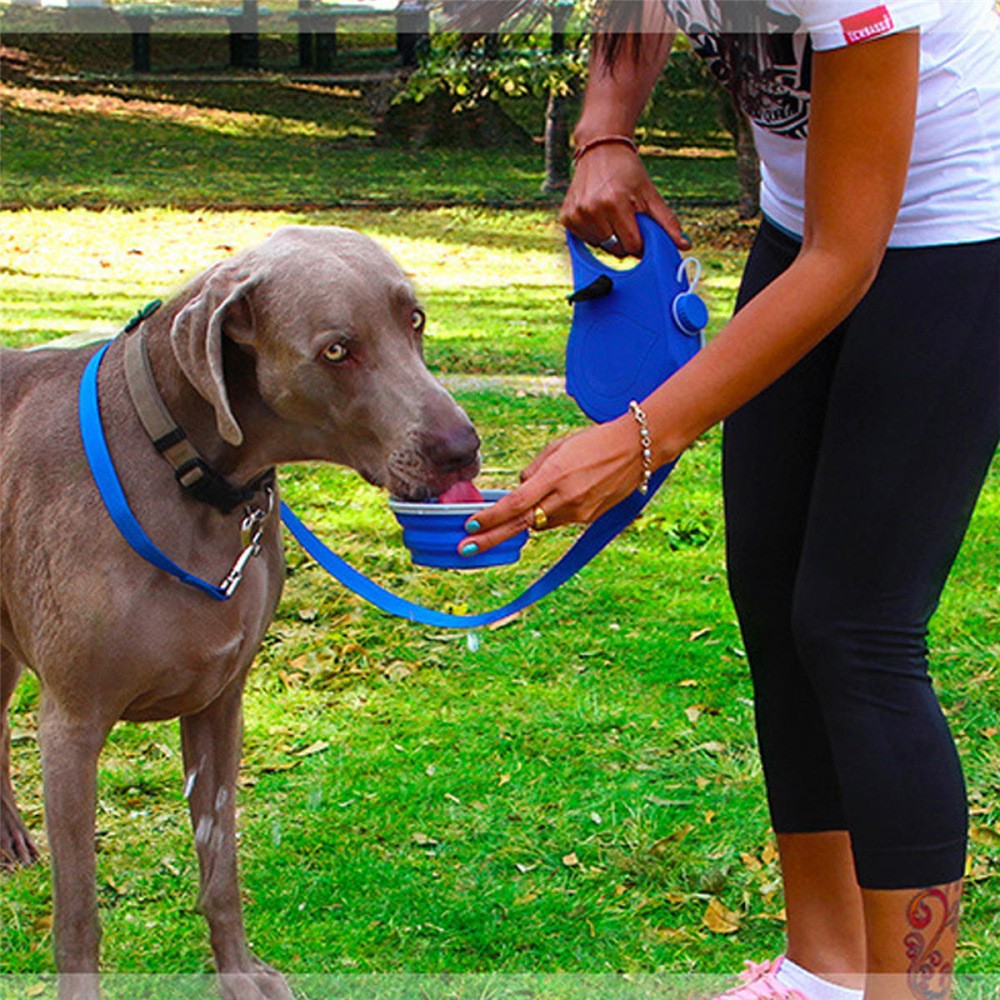 PawTrek? 3-in-1 All-in-One Walking Leash