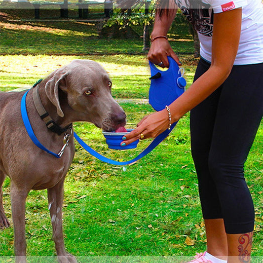 PawTrek? 3-in-1 All-in-One Walking Leash