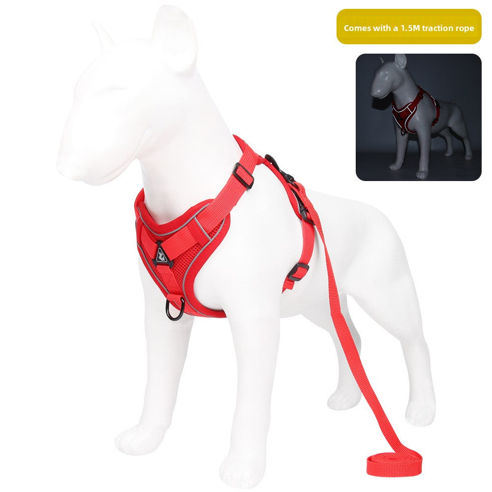 GlowFit? Reflective Comfort Harness
