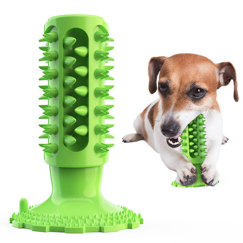 PawTrek? Squeaky Dental Chew Brush