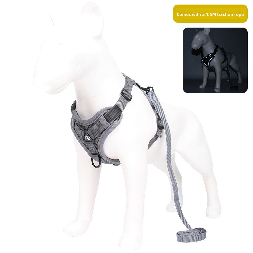 GlowFit? Reflective Comfort Harness