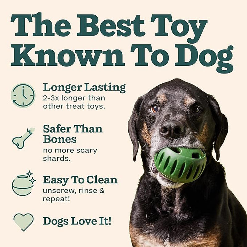 ChewVault? Slow Feeder Ball