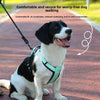 GlowTrail? Reflective Comfort Harness & Leash Set