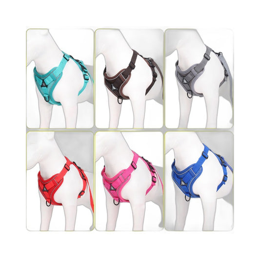 GlowFit? Reflective Comfort Harness