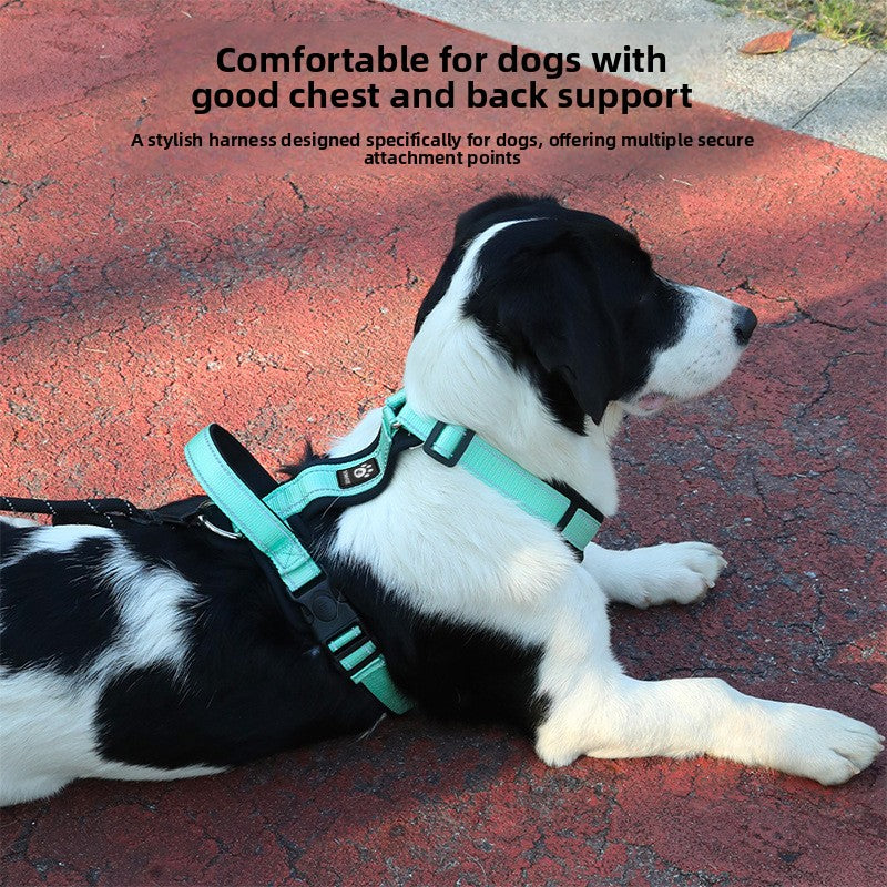 GlowTrail? Reflective Comfort Harness & Leash Set